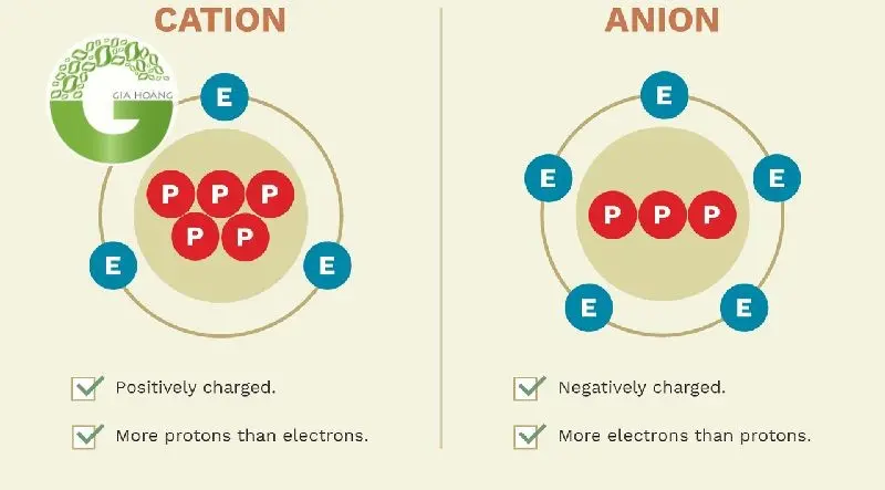 cation và anion cation và anion
