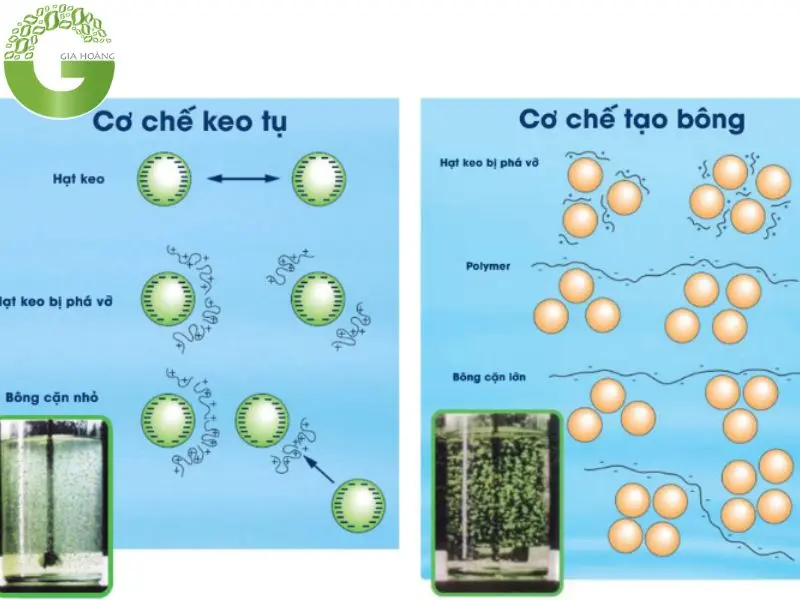 chất trợ keo tụ polymer