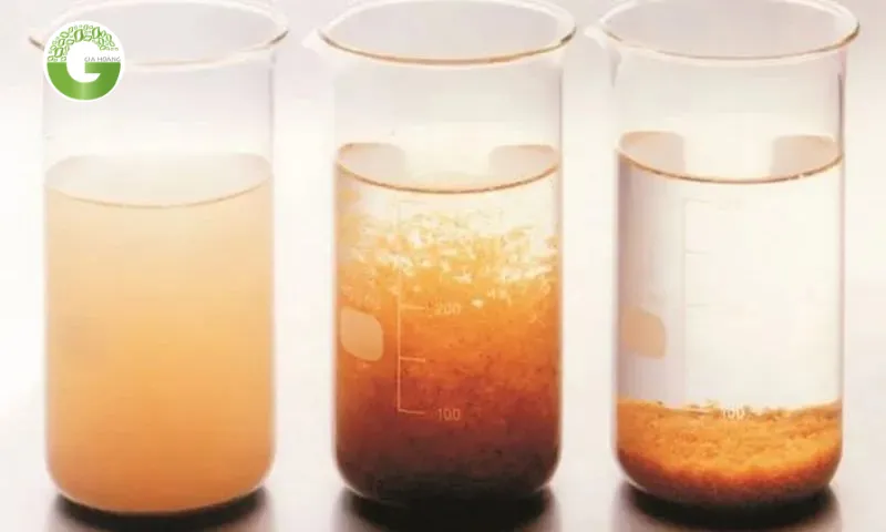 Cơ chế làm sạch nước qua keo tụ và lắng