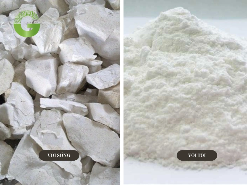 Cách nhận biết vôi sống và vôi tôi đơn giản