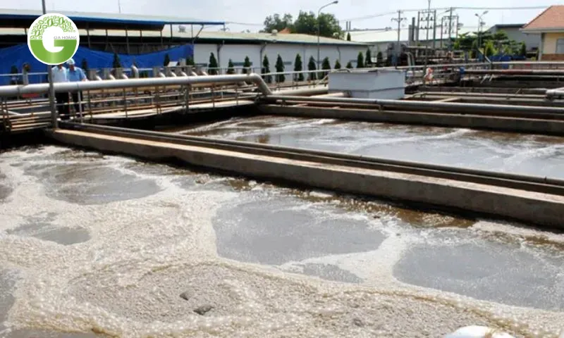 Nhiệt độ và nồng độ có ảnh hưởng trực tiếp tới hiệu quả xử lý