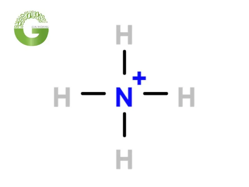 nh4 là cation hay anion