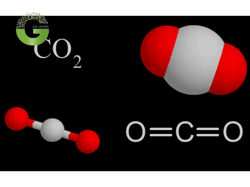 Carbon dioxide (CO2)