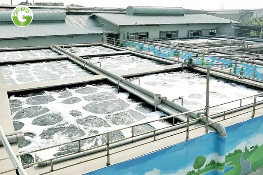 Phương Pháp Keo Tụ Tạo Bông: Quy Trình Kỹ Thuật Và Giải Pháp