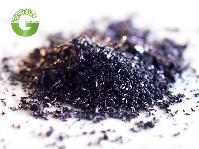 Thuốc tím bán ở đâu? Gợi ý những địa chỉ mua thuốc tím uy tín