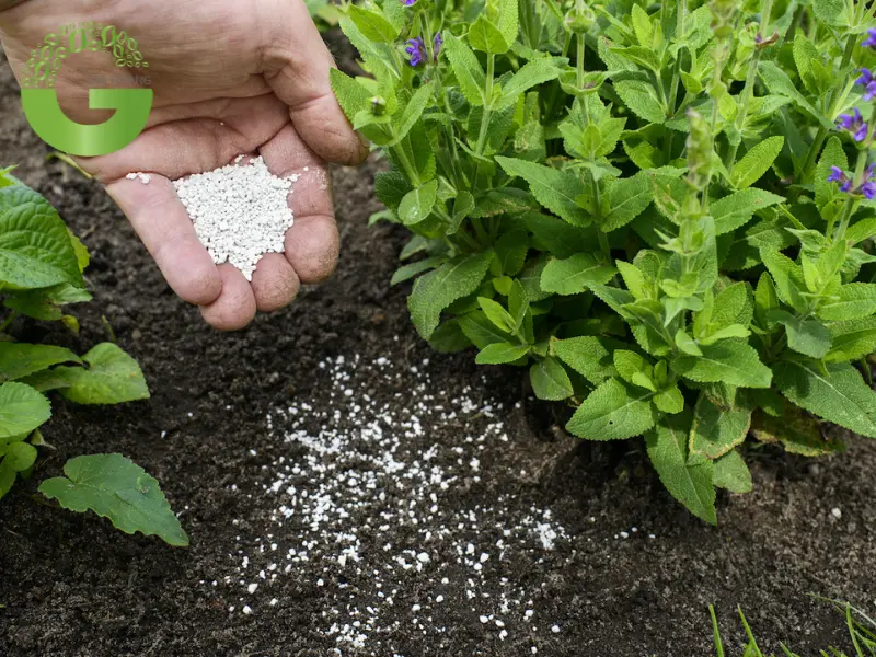 Các giải pháp khác để điều chỉnh độ pH của đất Các giải pháp khác để điều chỉnh độ pH của đất