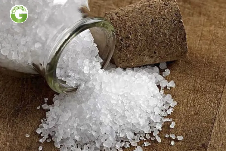 Các Hóa Chất Keo Tụ Tạo Bông Phổ Biến & Cách Lựa Chọn Tối Ưu