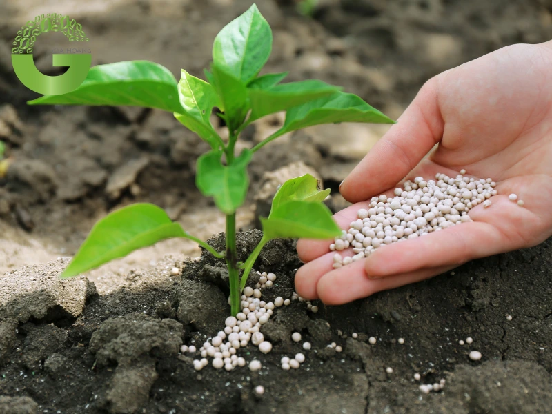 Xút Vảy (NaOH) Trong Xử Lý Đất: Giải Pháp Điều Chỉnh pH & Khử Trùng Đất Nông Nghiệp