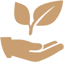 ảnh icon secChoose 4